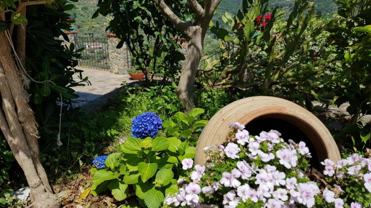 Borgo San Francesco Hotel Gioiosa Marea Buitenkant foto